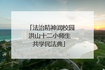 法治精神润校园 洪山十二小师生共学民法典