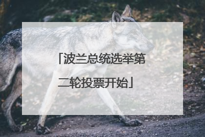 波兰总统选举第二轮投票开始
