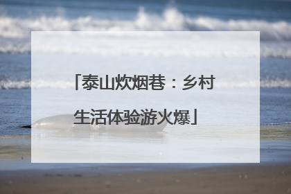 泰山炊烟巷：乡村生活体验游火爆