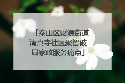 泰山区财源街道清真寺社区聚智破局家政服务痛点