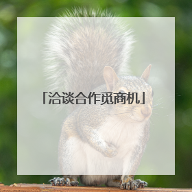 洽谈合作觅商机