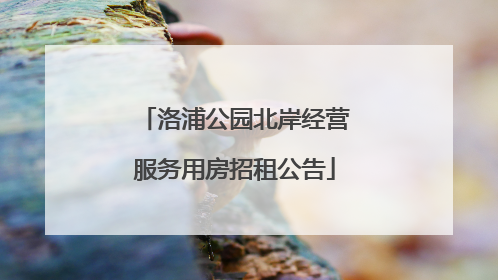 洛浦公园北岸经营服务用房招租公告