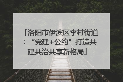 洛阳市伊滨区李村街道：“党建+公约”打造共建共治共享新格局