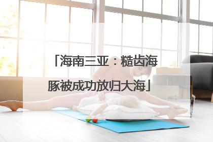 海南三亚：糙齿海豚被成功放归大海