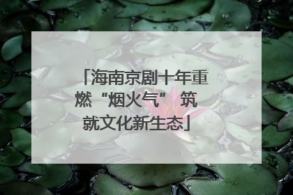 海南京剧十年重燃“烟火气” 筑就文化新生态