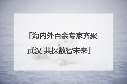 海内外百余专家齐聚武汉 共探数智未来