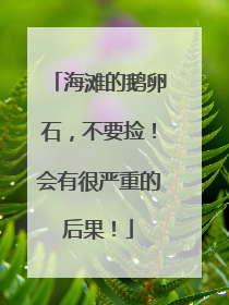 海滩的鹅卵石，不要捡！会有很严重的后果！