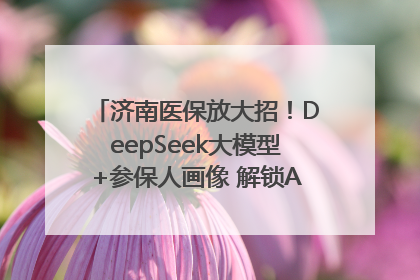 济南医保放大招！DeepSeek大模型+参保人画像 解锁AI医保管家新体验