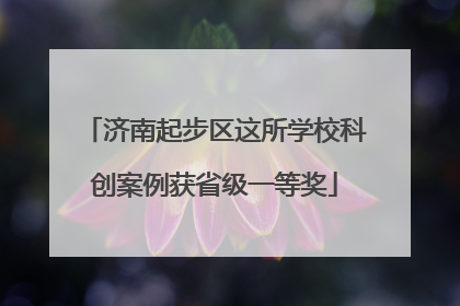济南起步区这所学校科创案例获省级一等奖
