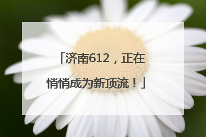 济南612，正在悄悄成为新顶流！