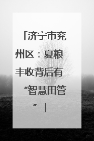 济宁市兖州区：夏粮丰收背后有“智慧田管”