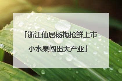 浙江仙居杨梅抢鲜上市 小水果闯出大产业