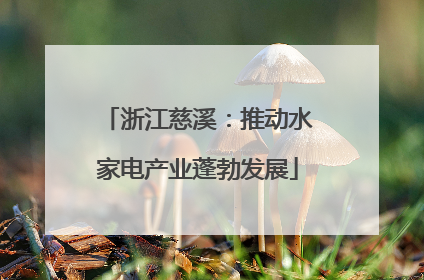 浙江慈溪：推动水家电产业蓬勃发展