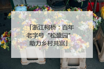 浙江柯桥：百年老字号“松盛园”助力乡村共富