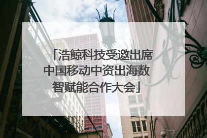 浩鲸科技受邀出席中国移动中资出海数智赋能合作大会