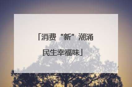 消费“新”潮涌 民生幸福味