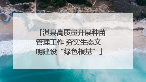 淇县高质量开展种苗管理工作 夯实生态文明建设“绿色根基”