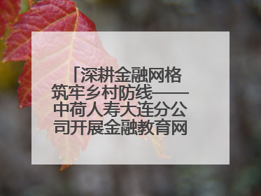 深耕金融网格 筑牢乡村防线——中荷人寿大连分公司开展金融教育网格化宣传活动