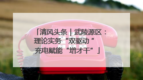 清风头条｜武陵源区：理论实务“双驱动 ” 充电赋能“增才干”