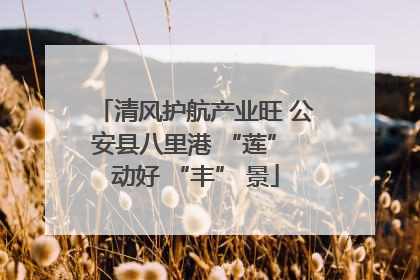 清风护航产业旺 公安县八里港 “莲” 动好 “丰” 景