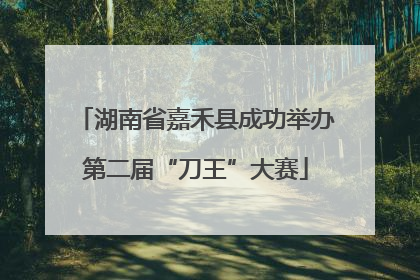 湖南省嘉禾县成功举办第二届“刀王”大赛