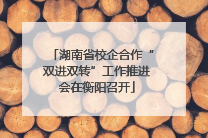 湖南省校企合作“双进双转”工作推进会在衡阳召开