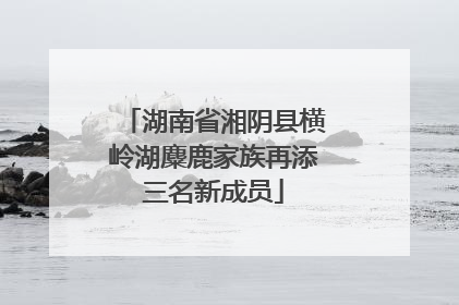 湖南省湘阴县横岭湖麋鹿家族再添三名新成员