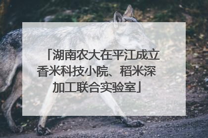 湖南农大在平江成立香米科技小院、稻米深加工联合实验室