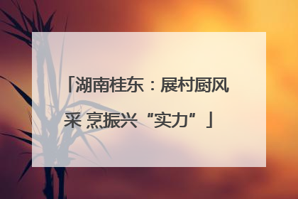湖南桂东：展村厨风采 烹振兴“实力”