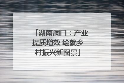 湖南洞口：产业提质增效 绘就乡村振兴新图景