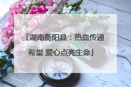 湖南衡阳县：热血传递希望 爱心点亮生命