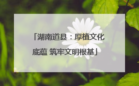 湖南道县：厚植文化底蕴 筑牢文明根基