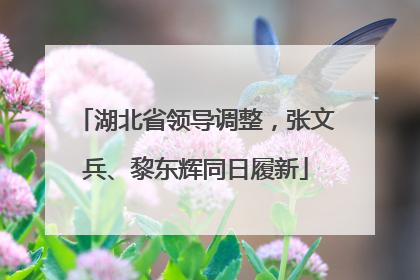 湖北省领导调整，张文兵、黎东辉同日履新
