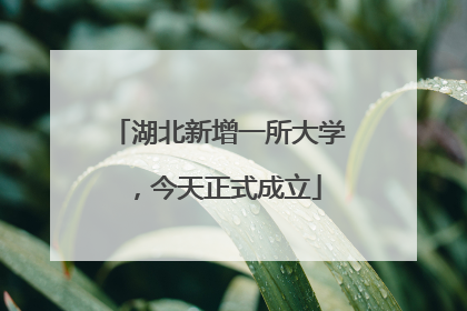 湖北新增一所大学，今天正式成立
