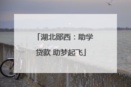 湖北郧西：助学贷款 助梦起飞