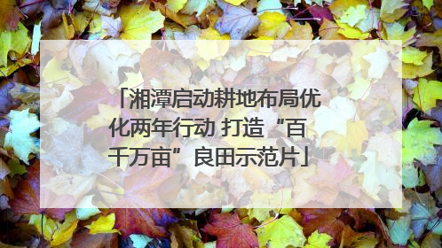 湘潭启动耕地布局优化两年行动 打造“百千万亩”良田示范片