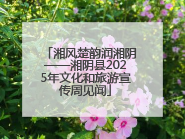 湘风楚韵润湘阴——湘阴县2025年文化和旅游宣传周见闻