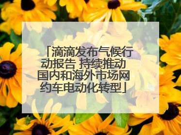 滴滴发布气候行动报告 持续推动国内和海外市场网约车电动化转型