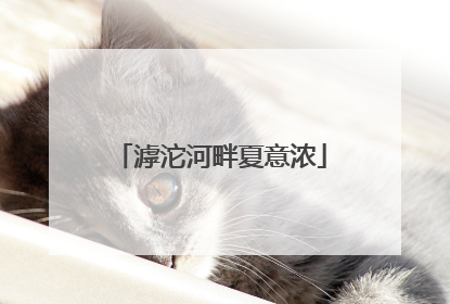 滹沱河畔夏意浓