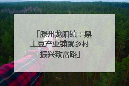 滕州龙阳镇：黑土豆产业铺就乡村振兴致富路