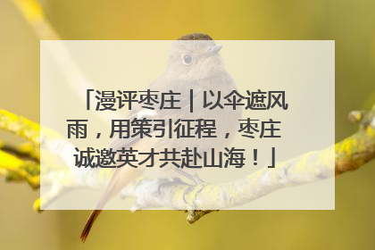漫评枣庄｜以伞遮风雨，用策引征程，枣庄诚邀英才共赴山海！