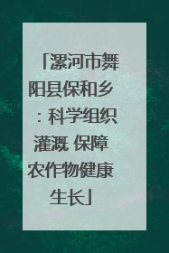 漯河市舞阳县保和乡：科学组织灌溉 保障农作物健康生长