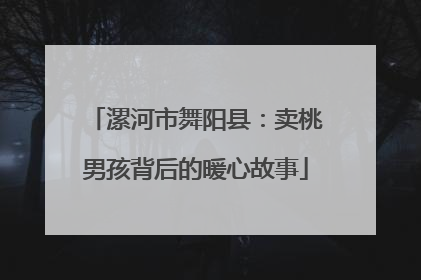漯河市舞阳县：卖桃男孩背后的暖心故事