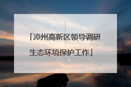 漳州高新区领导调研生态环境保护工作