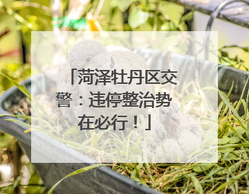 菏泽牡丹区交警：违停整治势在必行！