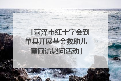 菏泽市红十字会到单县开展基金救助儿童回访慰问活动