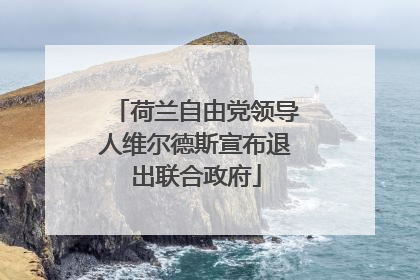 荷兰自由党领导人维尔德斯宣布退出联合政府