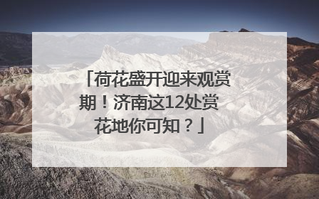 荷花盛开迎来观赏期！济南这12处赏花地你可知？