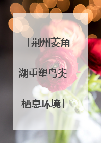 荆州菱角湖重塑鸟类栖息环境