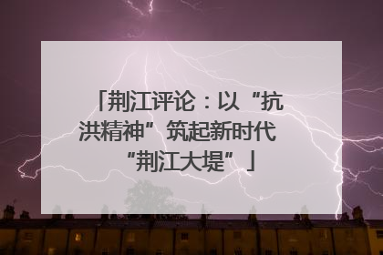 荆江评论：以“抗洪精神”筑起新时代“荆江大堤”